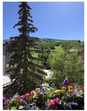 View from private balcony 