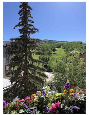 View from private balcony
