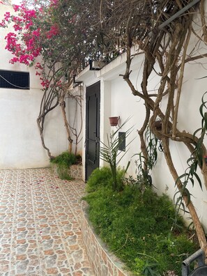 cour