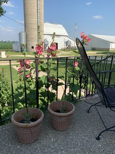 Quiet country  farm stay