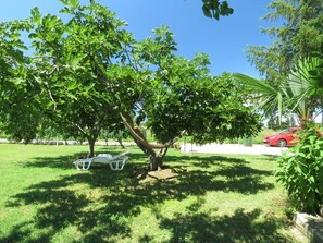 Jardin