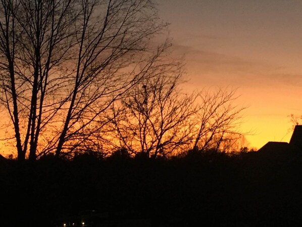 Oklassificerad bild, 1 av 43, knapp