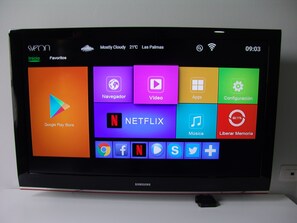 Fernseher