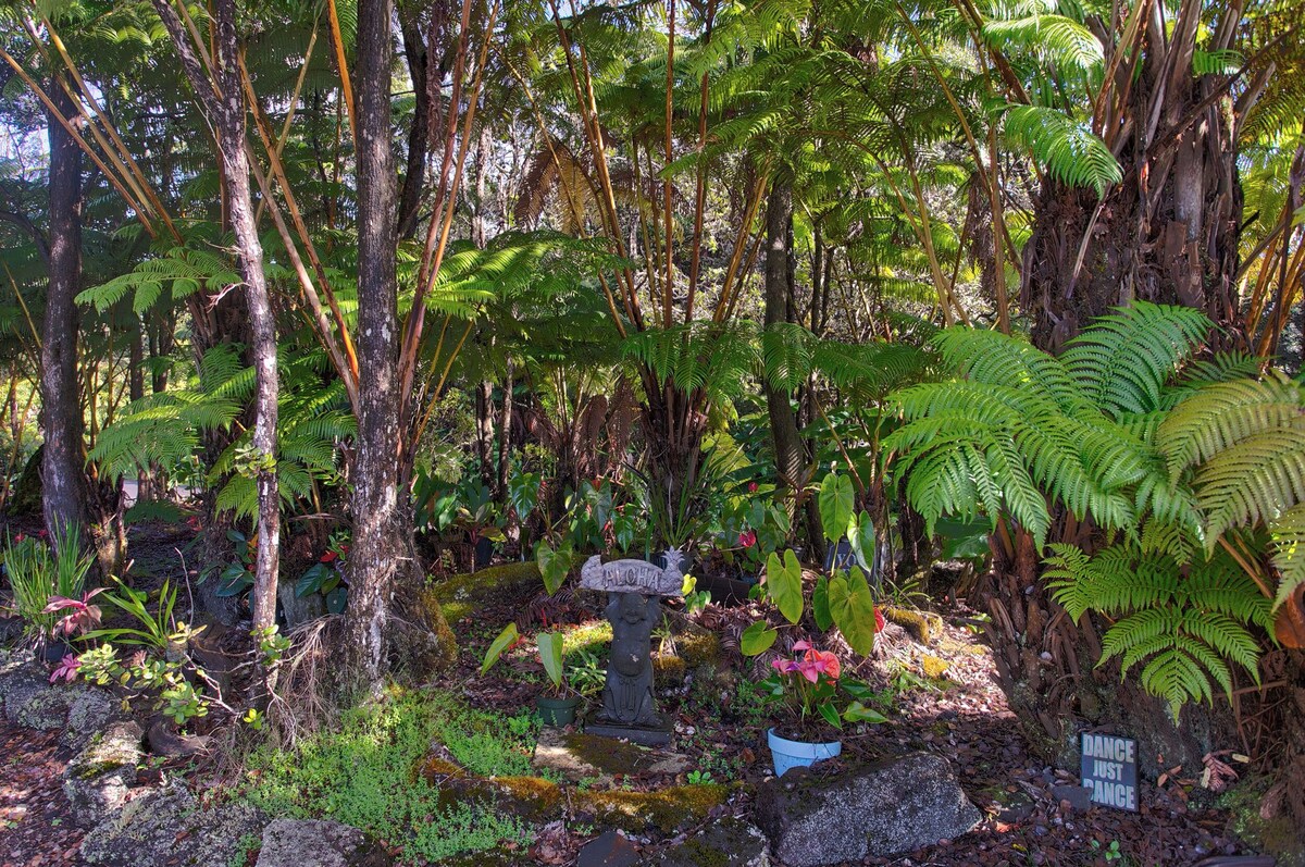 Cozy Aloha Ohia Hale with Hot Tub