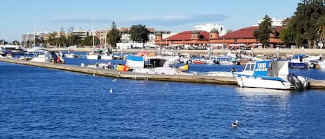 Village Marina Buildings from the Marina  and the markets