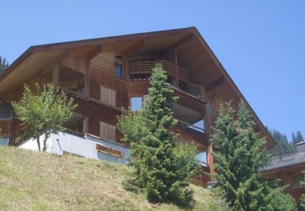 Picture 1