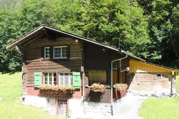 Aussenansicht im Sommer