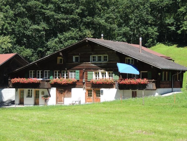 Exterior view in summer