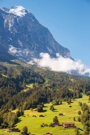 Chalet bei der Arve