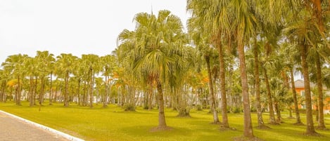 Terrenos do alojamento