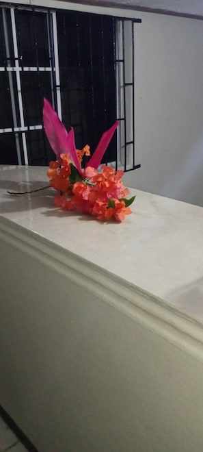 Miscellaneous