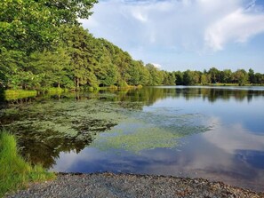 The lake is right across the street!