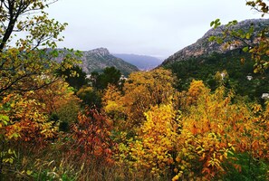 Vue d'Anduze