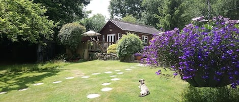 Woodside Lodge (and our dog, Gracie sunbathing!)