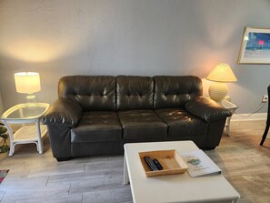 Sleeper Sofa