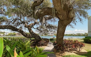 View of Little Sarasota Bay out to fishing dock and grilling area.
