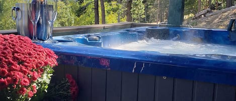 Hot tub, champagne, and the mountains