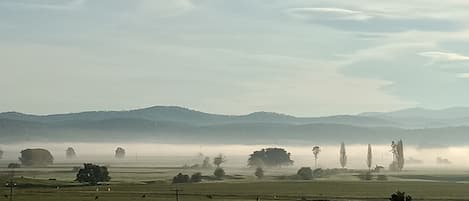 Misty morning.