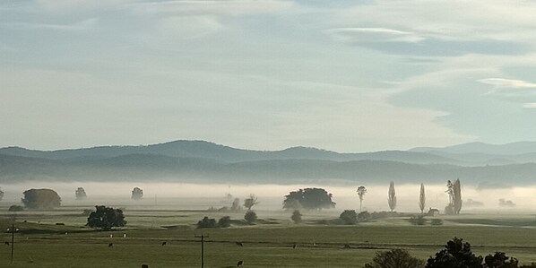 Misty morning.