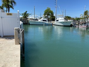 Port de plaisance