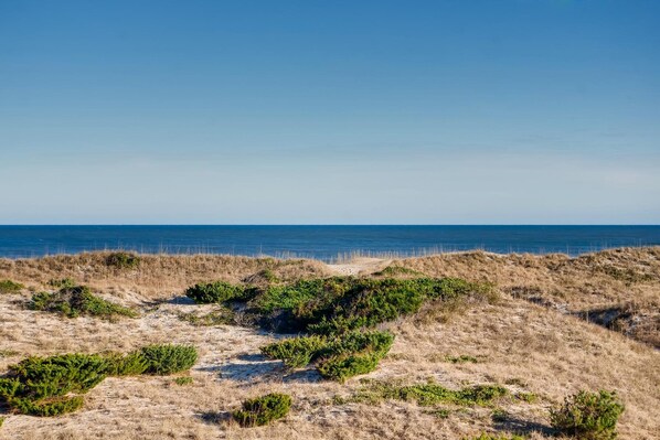 Just steps from the soft, sandy beaches!