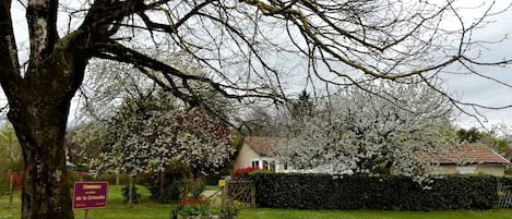 Jardines del alojamiento