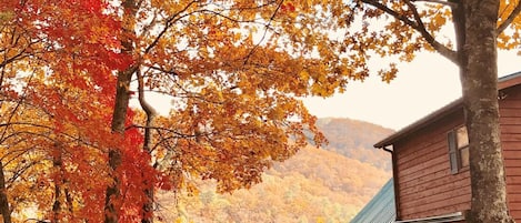 Fall Colors at Whiskey Barrel Lodge