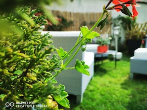 jardin, salon