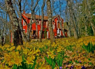 A magical house in the heart of Guadarrama Park