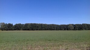 Terrain de l’hébergement 