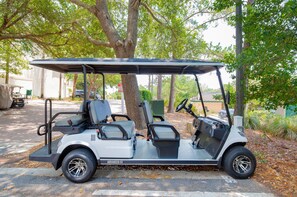 6 Seat Golf Cart