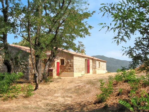 Front view