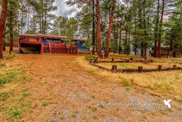 Driveway up to Kirkman Cabin