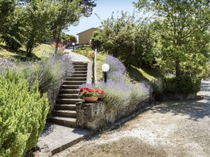 Propriété, Végétation, Jardin, Arbre, Arbuste, Mur, Botanique, Famille Grass, Maison, Plante