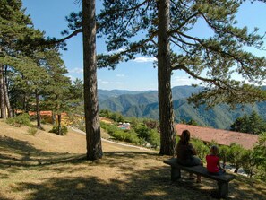 Pflanze, Himmel, Pflanzengemeinschaft, Blatt, Baum, Natürliche Landschaft, Berg, Hochland, Sonnenlicht, Lärche