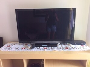 Television