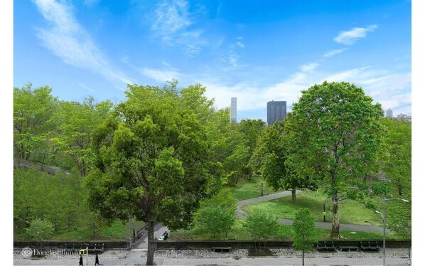 View directly on to Central Park out the sixth floor window. 