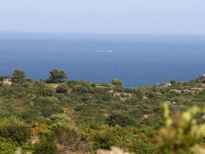 Oklassificerad bild, 5 av 21, knapp