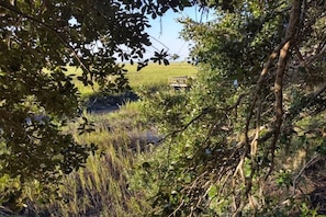 From the deck