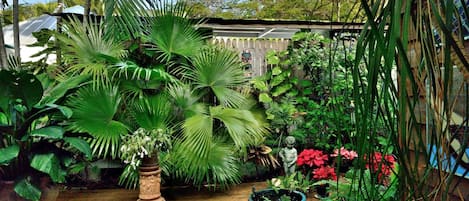 Amazing shared garden is a tropical Florida paradise!