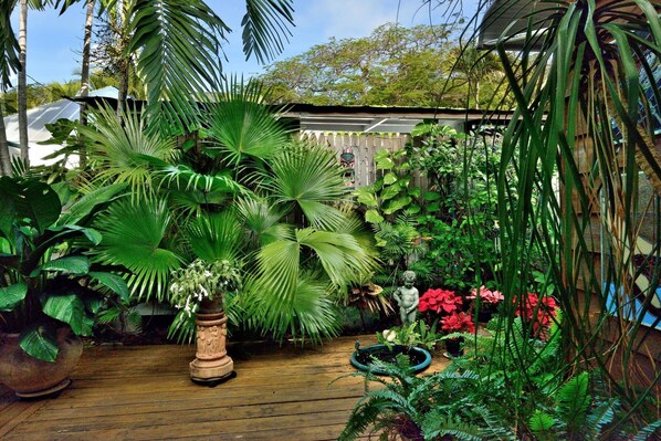 Amazing shared garden is a tropical Florida paradise!