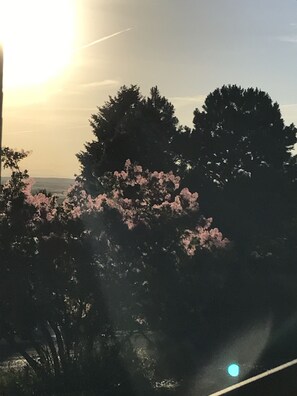 Vista desde la propiedad