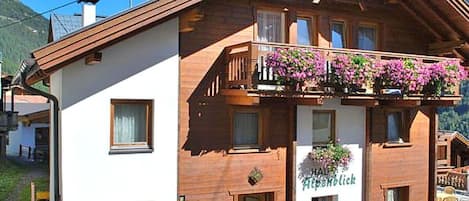 Plant, Building, Property, Sky, Window, Wheel, Flowerpot, Bicycle, Wood, Flower