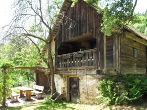 House, Building, Shack, Cottage, Rural Area, Tree, Hut, Jungle, Log Cabin