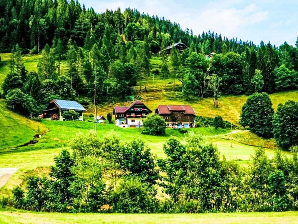 Gras, Baum, Grün, Haus, Natürliche Landschaft, Ländliches Gebiet, Wiese, Landschaft, Hütte