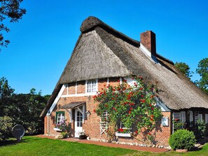 Plant, Sky, Building, Thatching, Window, House, Tree, Grass, Cottage, Rural Area