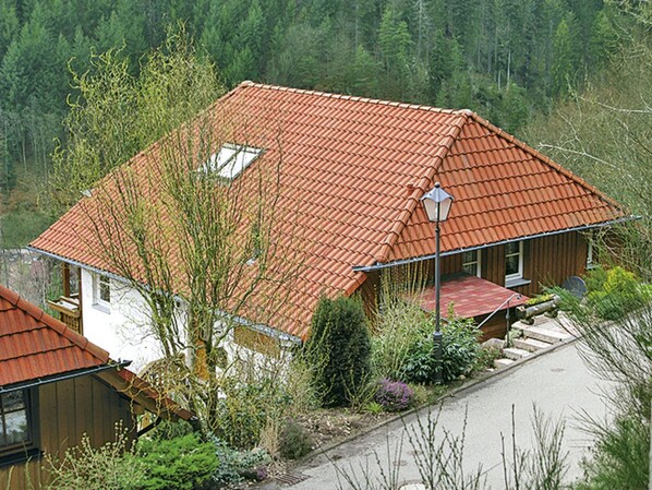 Plante, Communauté Des Plantes, Bâtiment, Bois, Pente, Fenêtre, Lot Terre, Paysage Naturel, Architecture, Maison