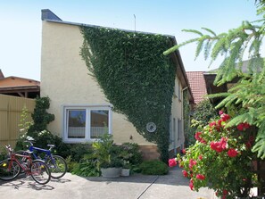 Property, House, Real Estate, Home, Architecture, Building, Residential Area, Wall, Facade, Tree
