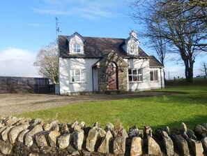 Trädgård