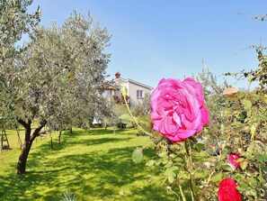 Jardines del alojamiento